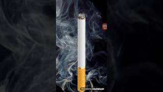 Virtual Cigarette screenshot 4