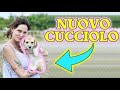 Prendo un NUOVO CUCCIOLO di CANE!