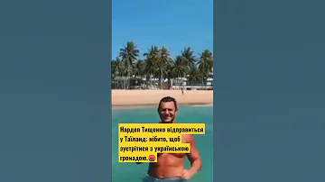 Нардеп Тищенко відправиться у Таїланд нібито щоб зустрітися з українською громадою 