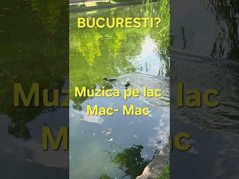 Povesti din Bucuresti, cauta-le peTicketStore.ro la Casa Eliad