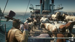 RDR2 - Killing all animals inside a ship