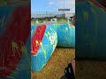 Professional Paintball POV 🎯
