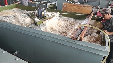 Disc Impeller Oxygen Transfer Rate Study