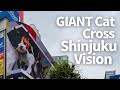 GIANT 3D CAT Shinjuku Station East Exit#shinjukugiant3dcat