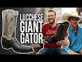 The Burke: Lucchese Alligator Boots Quick Impression at Lou Taubert Ranch Outfitters