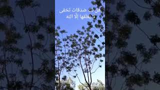 هل لك سر عند الله - صوت / محمد عباس