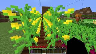 Minecraft Simple farming mod! New drinks, crops and food.