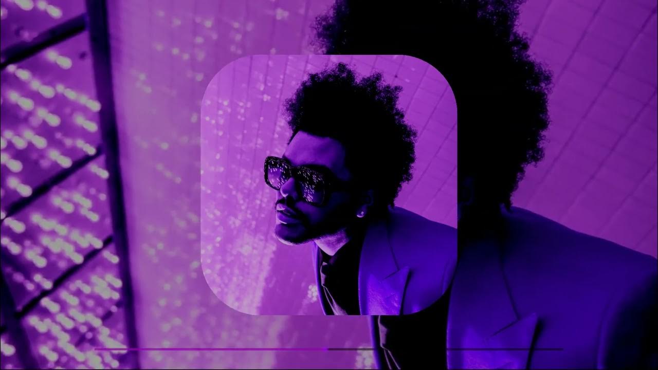 A weekend course. Веселая работающая девушка на ноутбуке. A weekend course. Getcourse картинки. Giantess anime fan комикс.