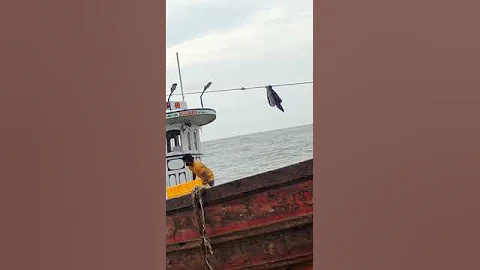 #fishingboat #octopus #fishing #shorts #youtubeshorts #ytshorts @KadalTv