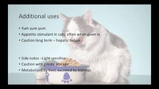 Veterinary Tranquilizers and Sedatives (VETERINARY TECHNICIAN EDUCATION)