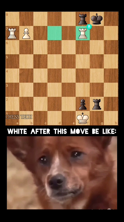“He Took the Rook… and Lost EVERYTHING ♟️🔥”