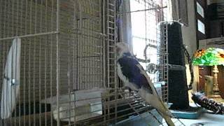 DSCF9179.AVI