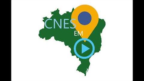 CNES - Gerando relatório de dados básicos de estabelecimentos no site do CNES.
