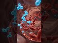 How Do Medicines Work Inside Your Body? Pill Work Key &amp; Lock Brief  in 10 Seconds