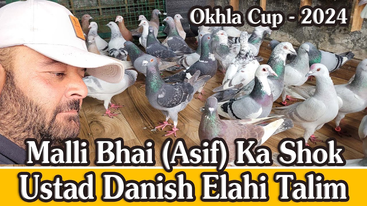 Malli Bhai (Asif) Ka Shok,  Okhla Cup 2024, Ustad Haji Danish Elahi Talim