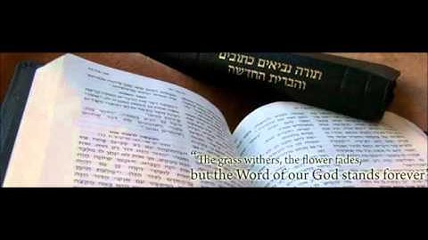 בְּרֵאשִׁית  Genesis 1:1–6:8