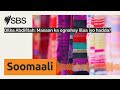 Dilka Abdifitah Maxaan Ka Ognahay Illaa Iyo Hadda SBS Somali SBS Afsomali Dilka Abdifitah Maxaan Ka Ognahay Illaa Iyo Hadda SBS Somali SBS Afsomali