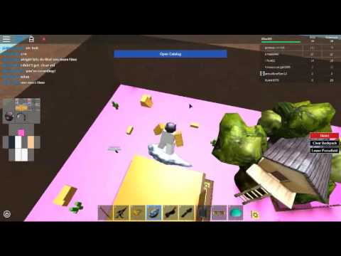 Roblox Catalog Heaven Hacker Lime99464 Youtube - roblox catalog heaven hacks