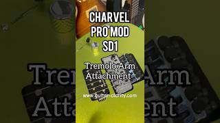 Charvel Guitars Sd1 Tremolo Review