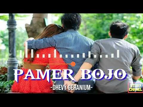 Pamer bojo -