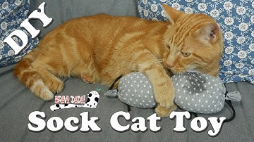 DIY How to Make a Cat Toy Out of Old Socks – Old Clothes Reuse Ideas - Bravo Dada! Sewing Tutorial