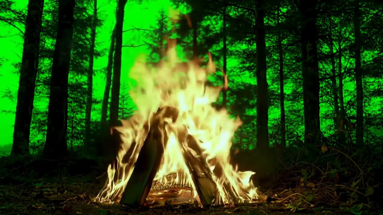 GREEN SCREEN VFX CAMPFIRE IN JUNGLE 