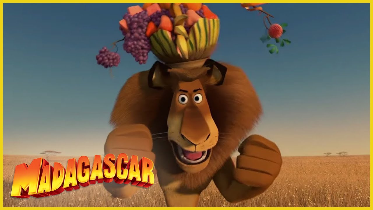 ⁣DreamWorks Madagascar en Español Latino | Sorprendido de verme | Madagascar  Escape 2 África