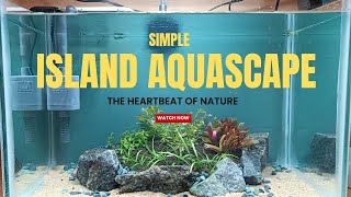 Simple and easy nano Island Aquascape for beginners