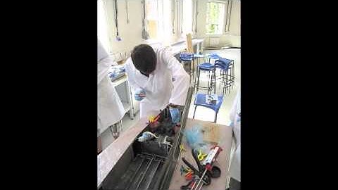 2009 Cohort DBT Build