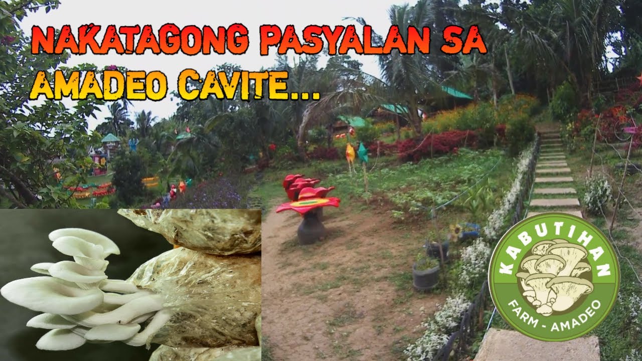 KABUTIHAN FARM...NAKATAGONG PASYALAN SA AMADEO CAVITE.. | RHIE MOTOVLOG