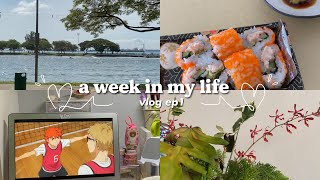 vlog ep1 🧸 📘: watching anime, meet my pets & food!