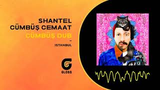 Shantel &amp; Cümbüş Cemaat - Cümbüş Dub (İstanbul)