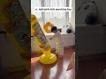 🔗 BUY PRODUCTS H͟E͟R͟E͟ 👈