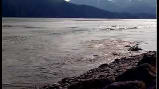 Bore Tide In Turnagain Arm