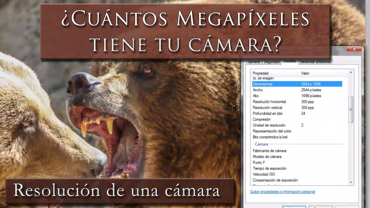 Como Saber De Cuantos Pixeles Es Mi Celular Compartir Celular Como Saber De Cuantos Pixeles Es Mi Celular Compartir Celular