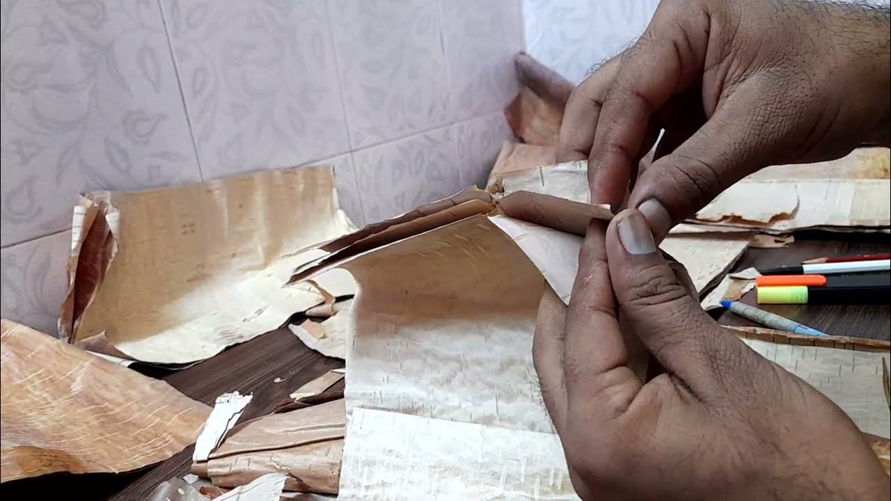 How is Bhojpatra paper? भोजपत्र का पेपर कैसा होता है bhojpatra