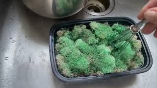 Easy way to color (preserve) moss