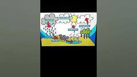 save the water