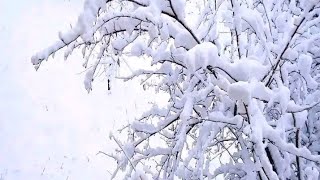 صور تساقط الثلوج اغلبيتها من ولاية المدية ماخوذة من مواقع التواصل الاجتماعي ?