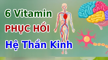 6 Loại Vitamin Giúp PHỤC HỒI HỆ THẦN KINH Của Bạn | EVA COCO