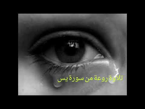 تلاوة تدمع لها العين من سورة يس