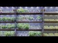 Farmshelf: Cost-effective custom parts for urban farming