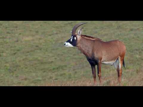 Malawi Landscapes & Scenery