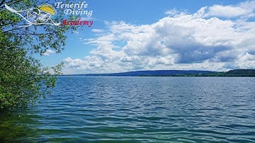 PADI Divemaster Internship Tenerife