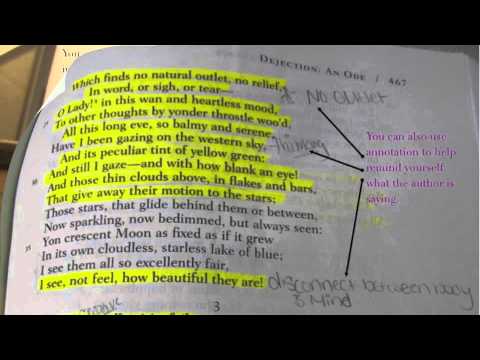 What is the definition of annotate