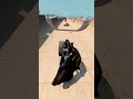 80 TON Steel Coil vs Vehicle – Who Wins?! 💥 - BeamNG Drive