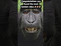 Congratulations #random