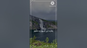 محمد خليل القارئ | سورة طه (105-114)