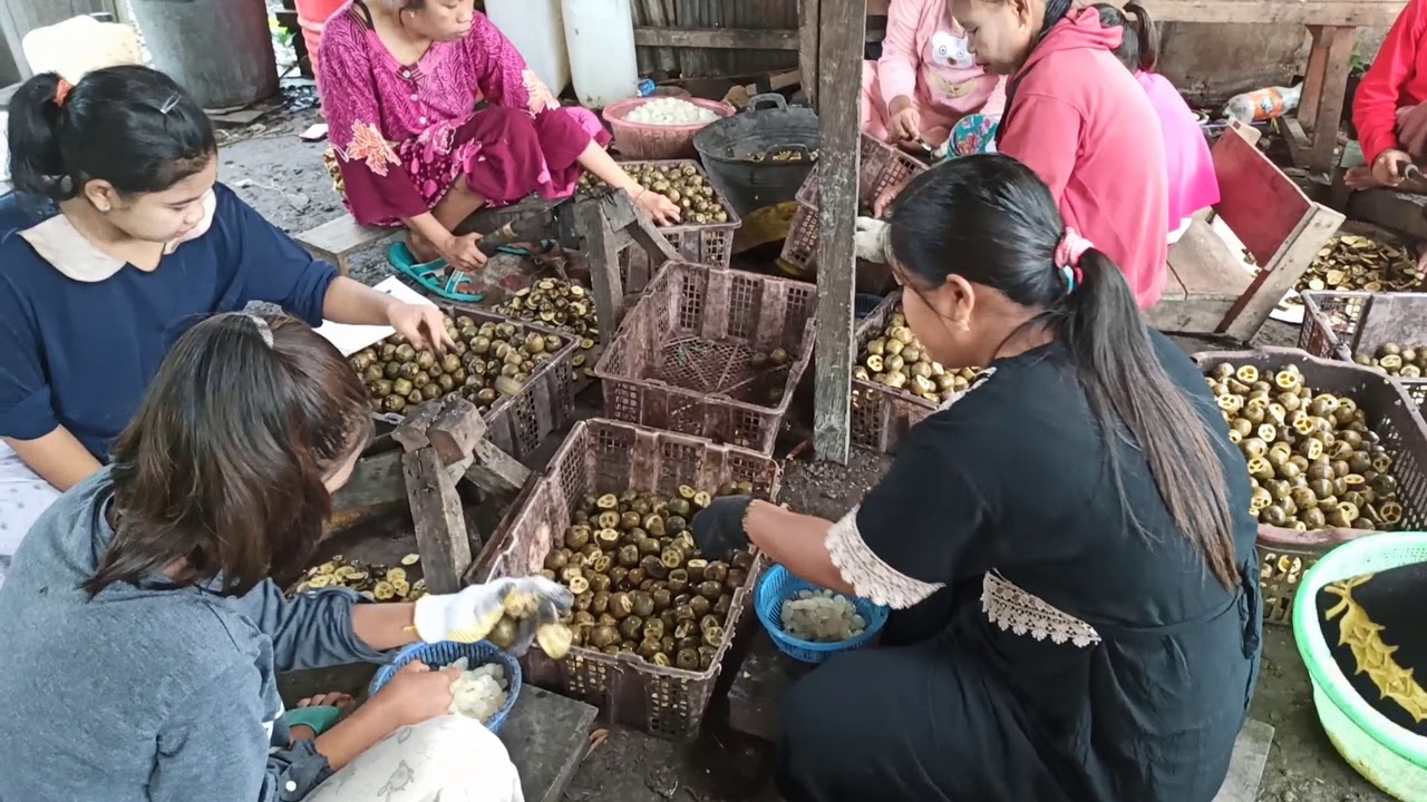 Kolang-Kaling, Ternyata...? 