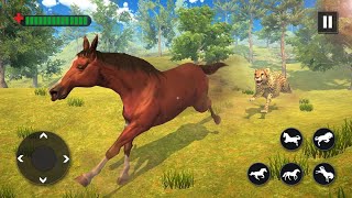 Wild Horse Family Simulator Horse Games Android Gameplay #2 | Dishoomgameplay